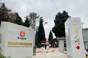 奋进正当时，黄果树酒业开工大吉