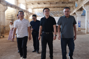 镇宁县政府副县长齐旸莅临黄果树酒业开展实地调研并现场指导工作